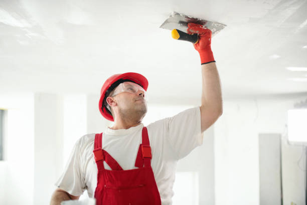 Best Commercial Mold Inspection  in Dundas, MN