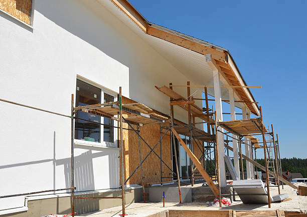 Best Biohazard Mold Removal  in Dundas, MN