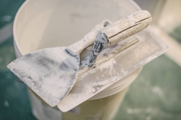 Best Mold Removal for HVAC Installations  in Dundas, MN