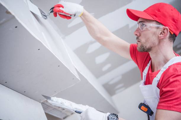 Best Mold Prevention Services  in Dundas, MN