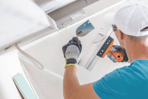 Best Basement Mold Removal  in Dundas, MN